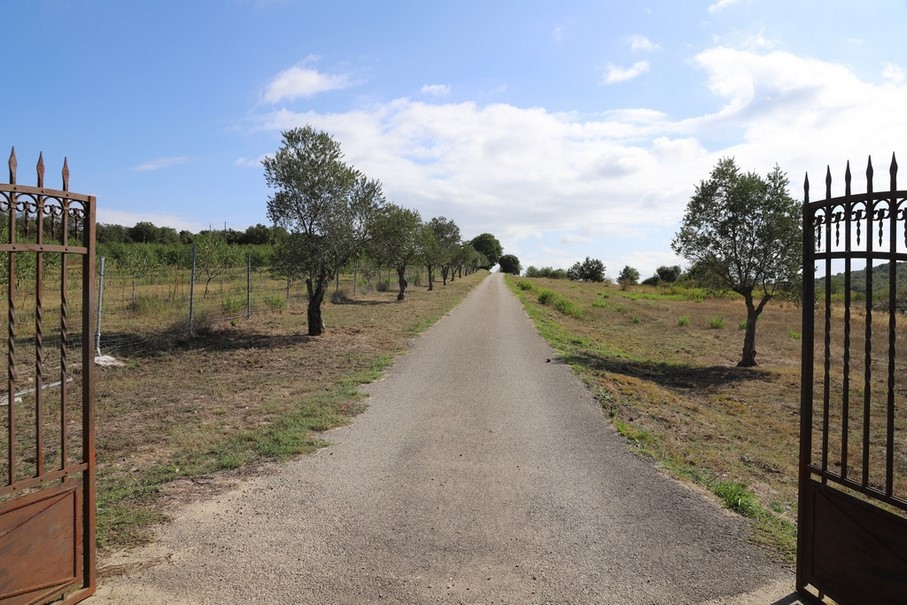 PROPRIETE 42 HECTARES VOCATION EQUESTRE GITE