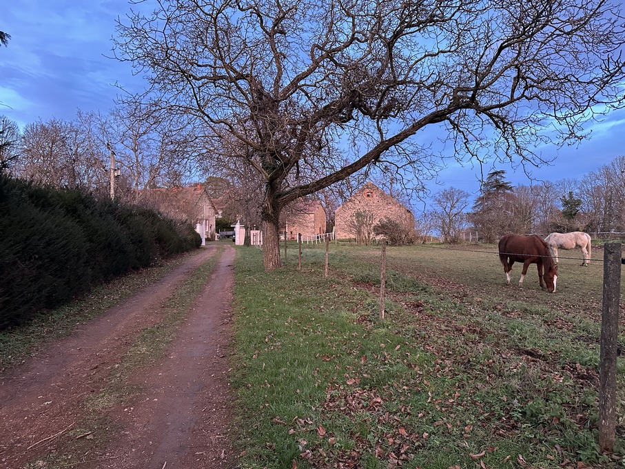 PTE EQUESTRE A VENDRE SUR 8 HECTARES