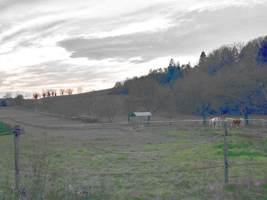 PTE EQUESTRE A VENDRE SUR 8 HECTARES