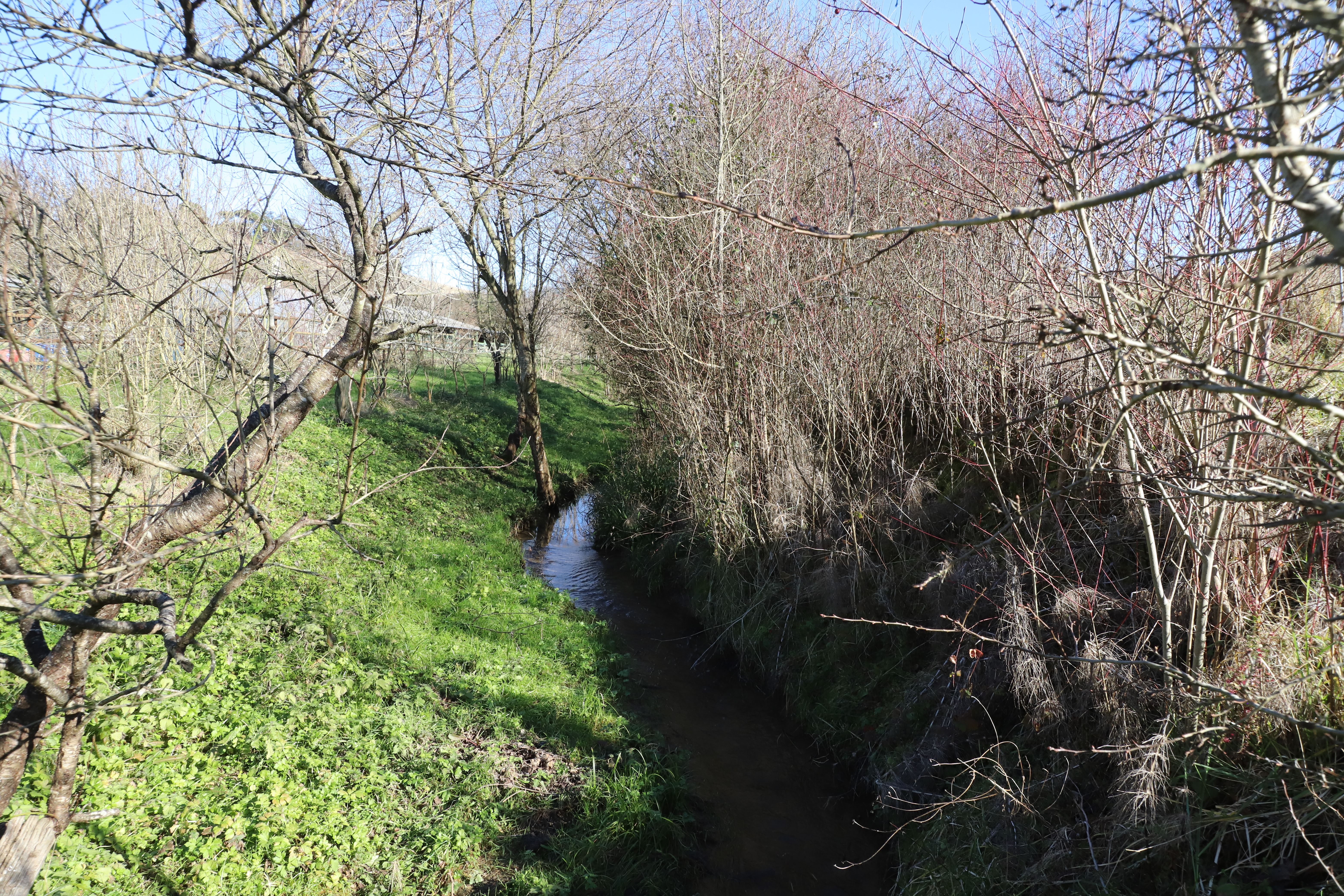 ruisseau